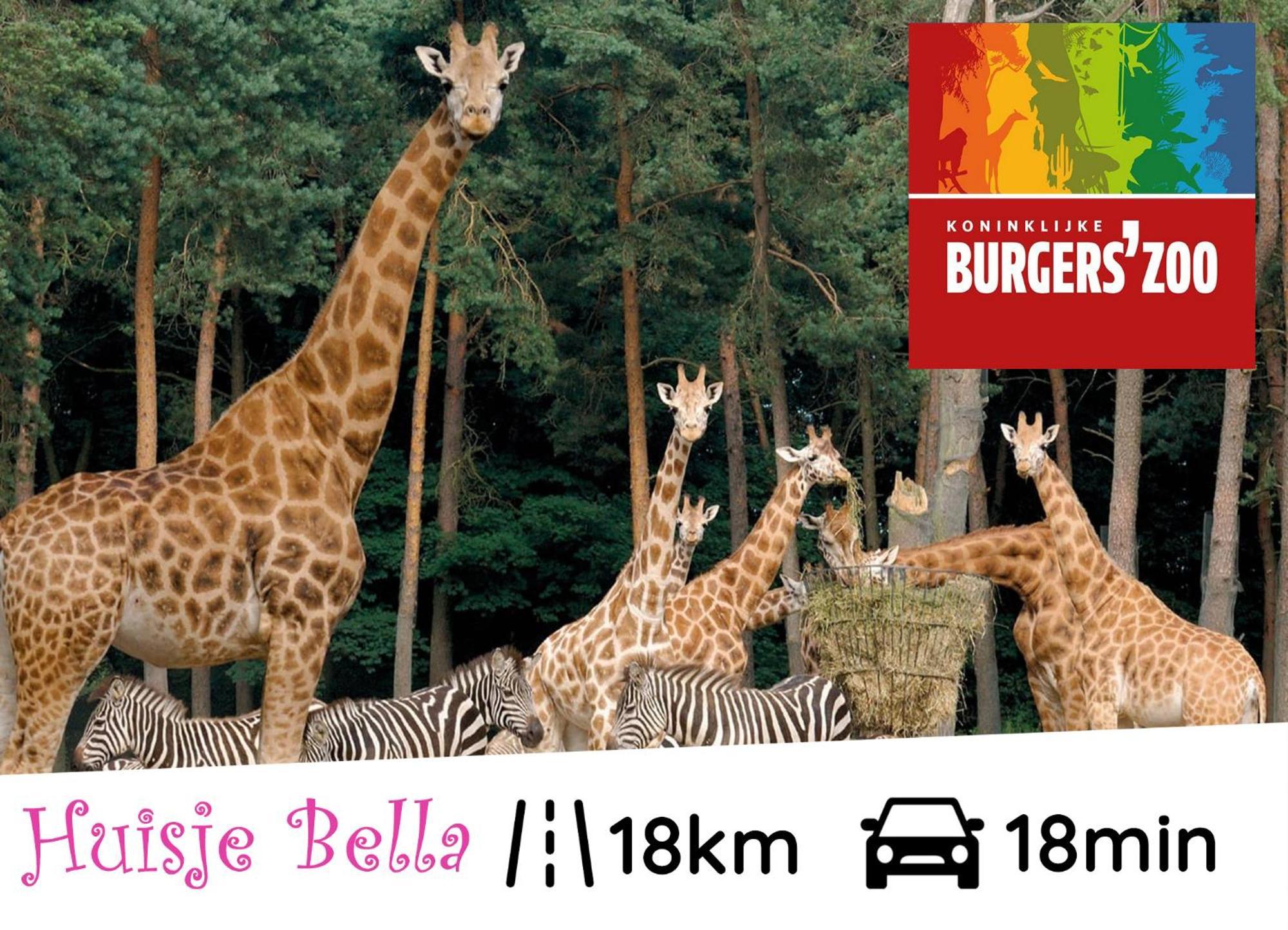 Chalet Huisje Bella Op De Veluwe Max 2 Volwassene بيكبيرخين المظهر الخارجي الصورة